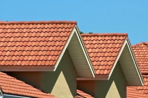 this picture is tile roof painting melbourne