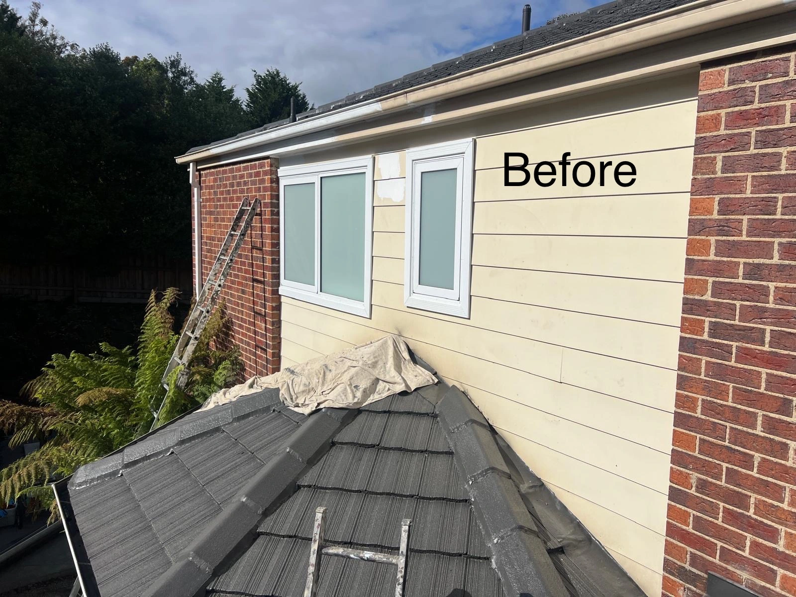 264cd360 7628 4517 8c3d 5ce6ec7053bb