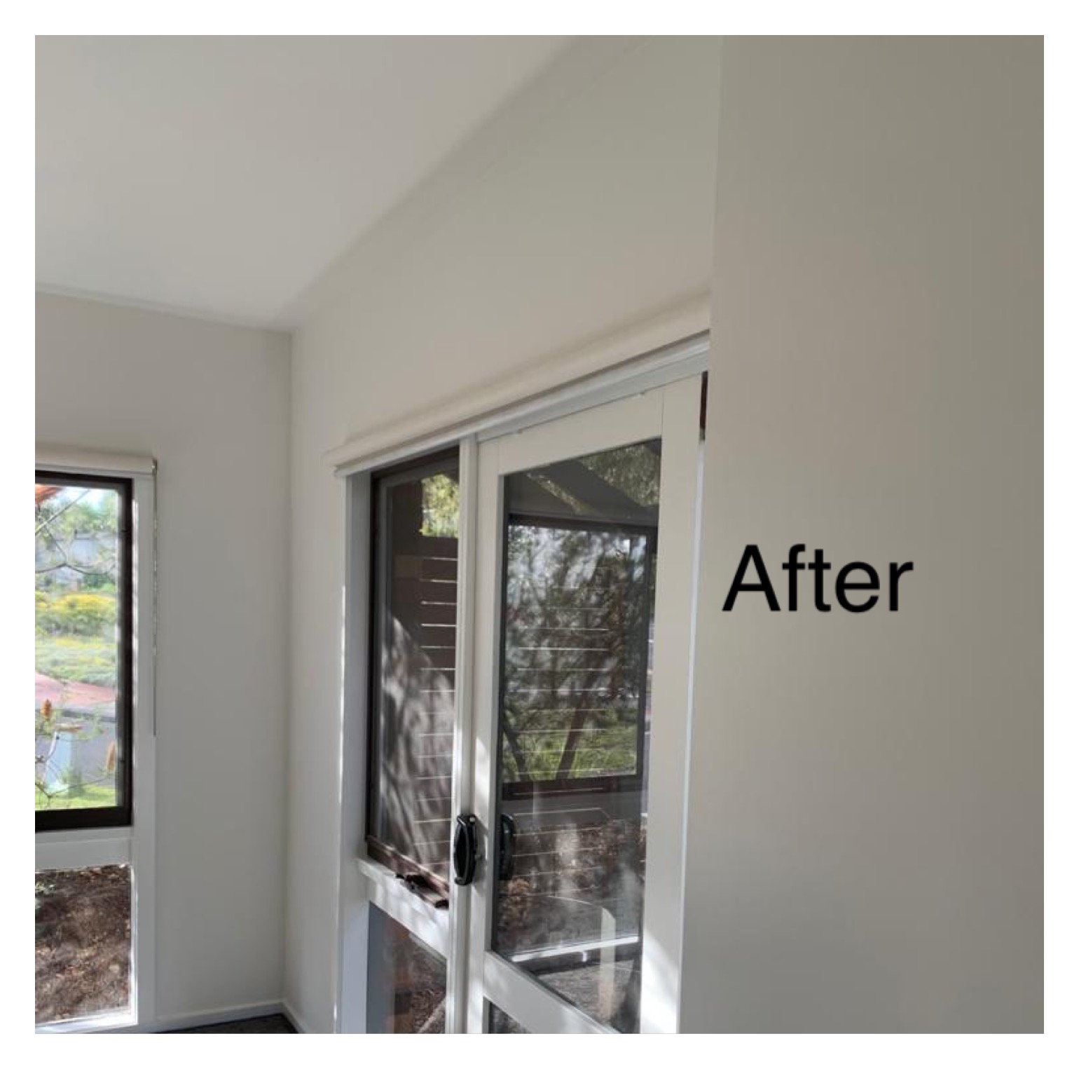 20210526 150130126 iOS