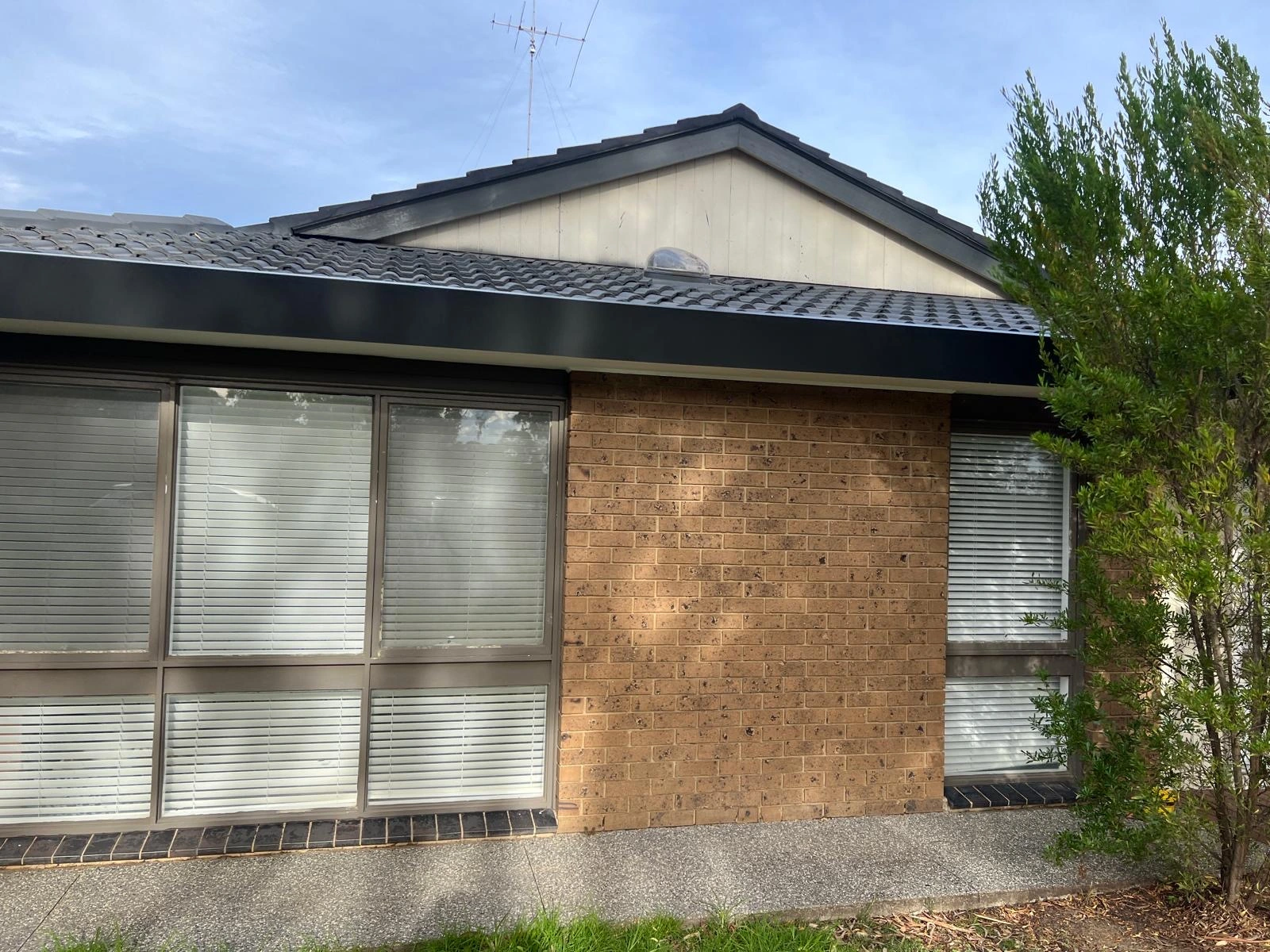 Professional home painters Rosanna